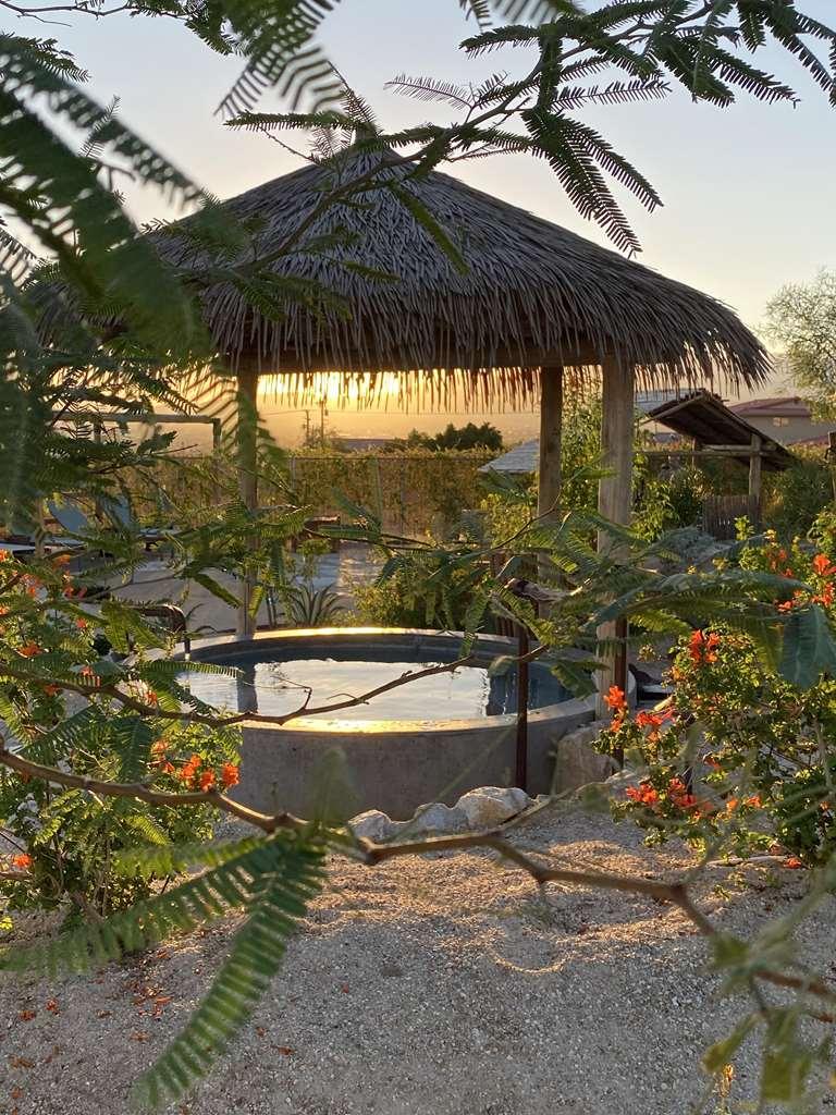 Azure Palm Hot Springs Ξενοδοχείο Desert Hot Springs Ανέσεις φωτογραφία